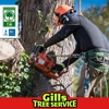 Gills Tree Service gallery