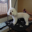 Bark "N" Babies Pet Grooming and Boarding - Pet Grooming