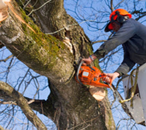 Brooks Tree Service & Forest Products - Kingsley, MI