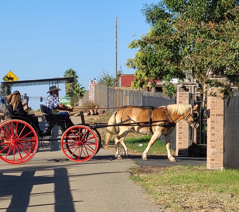 Fancy Ferriage by Horse & Carriage - Oakley, CA