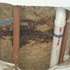 Healthy Home Mold Inspection gallery