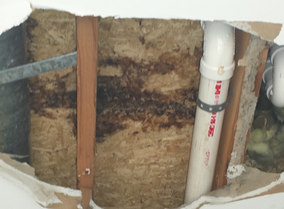 Healthy Home Mold Inspection - Kenosha, WI