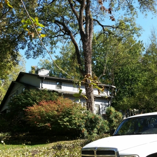 AMER TREE XPERTS  & LNDSCPNG - Evansville, IN. Removing a American Elm tree