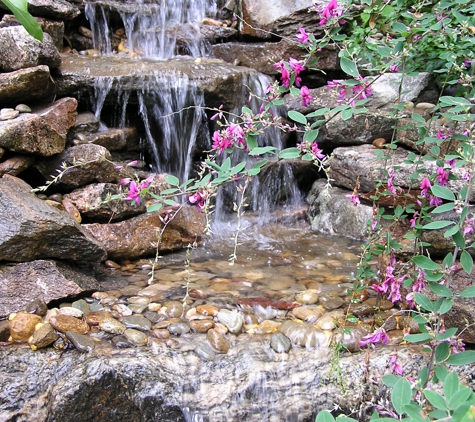 Mountain Landscapes - Asheville, NC