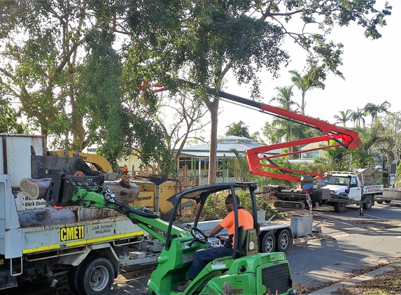 Wade's Tree Service - Andergrove, QLD. On The Job With Wades Tree Service