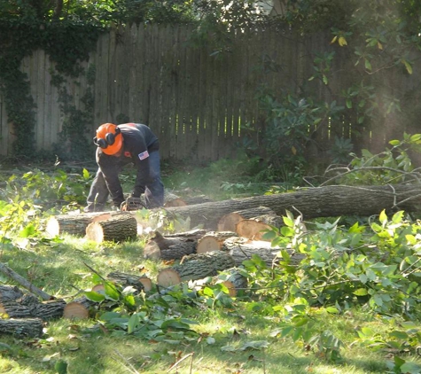 Carroll And Company Tree Service