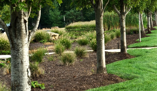 Garcia's Landscaping & Maintenance - Oxnard, CA