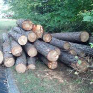 Scott's Stump and Tree Removal - Lagrange, GA