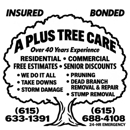 A Plus Tree Care