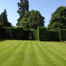 Complete Lawn Care Service - Landscaping & Lawn Services