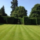 Complete Lawn Care Service