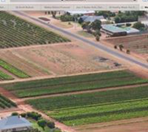 Merbein Vine Nursery - Birdwoodton, VIC
