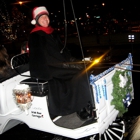 Downtown Denver Carriage Rides