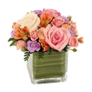 Vail Flowers - Flowers, Plants & Trees-Silk, Dried, Etc.-Retail