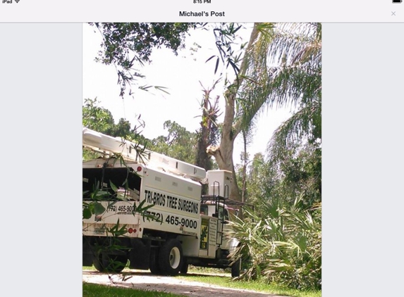 Tri-Brothers Tree & Landscaping - Port Saint Lucie, FL