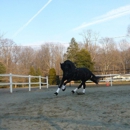 Grand Passion Equestrian Center - Farms