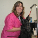 Just Grooming of South Shore - Dog & Cat Grooming & Supplies