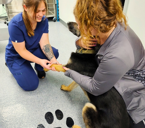 Pawsh Veterinary Clinic - Maize, KS