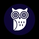 Night Owl Websites