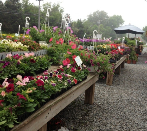 Hay Ground Mkt - Bridgehampton, NY