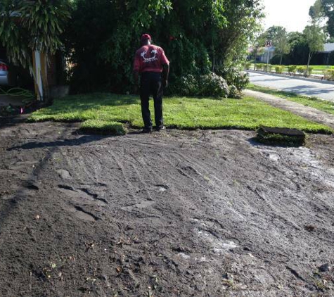 Broward Sod - fort lauderdale, FL