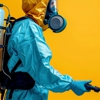 Green Wave Pest Solutions gallery