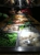 E Star - Buffet Restaurants