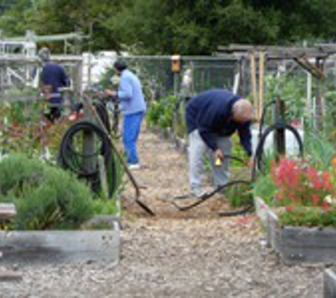 Bay Area Older Adults - Sunnyvale, CA