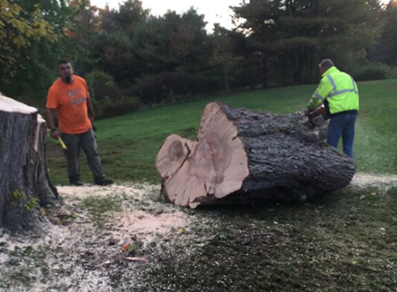 McNeely Tree Service, Inc. - Brookfield, MA