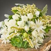 Gallery Image Number 1
