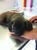 Critter Fixer - Veterinary Clinics & Hospitals