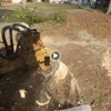 Tree Stump Removal and Excavation gallery