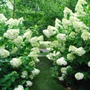 Heinz Nurseries & Landscaping - Landscape Designers & Consultants