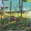 General Pest Control gallery