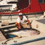 Alyce C Sport Fishing