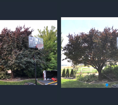 Sager Professional Tree Management - Middleton, ID