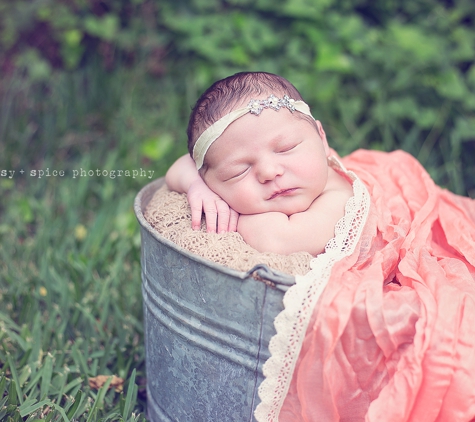 Whimsy & Spice Photography Studio - Brazoria, TX