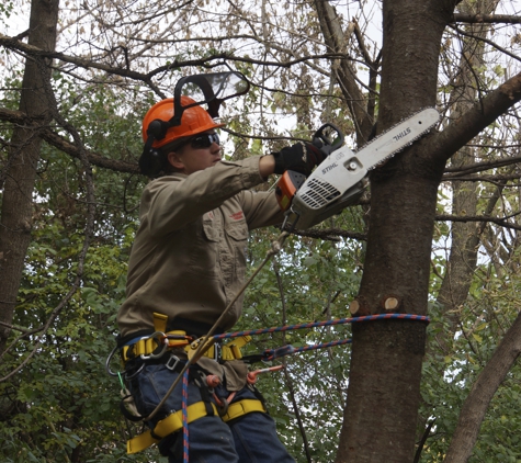 L & T Tree Services - Carver, MN