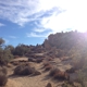 Joshua Tree Lake