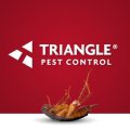 Triangle Pest Control - Inspection Service