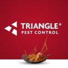 Triangle Pest Control