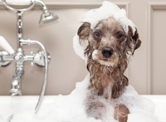 Newton Boarding Kennel and Grooming - Chillicothe, OH
