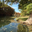 Roddy Tree Ranch