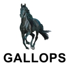 Gallops Gas Station, Truck Stop & Travel Center of Kendallville - Convenience Stores