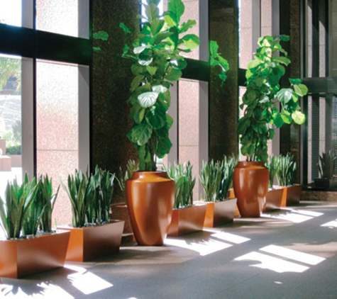 Interior Plantworks Inc - South Windsor, CT