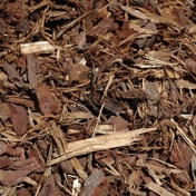 Gallery Image Number 8