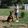 KC K-9 Training & Behavior gallery