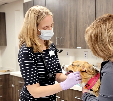 Telegraph Road Animal Hospital - Severn, MD