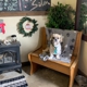 Bow-Wow Boutique Pet Salon& Salon