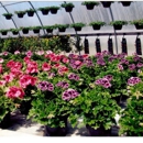 K & T Greenhouses - Greenhouses